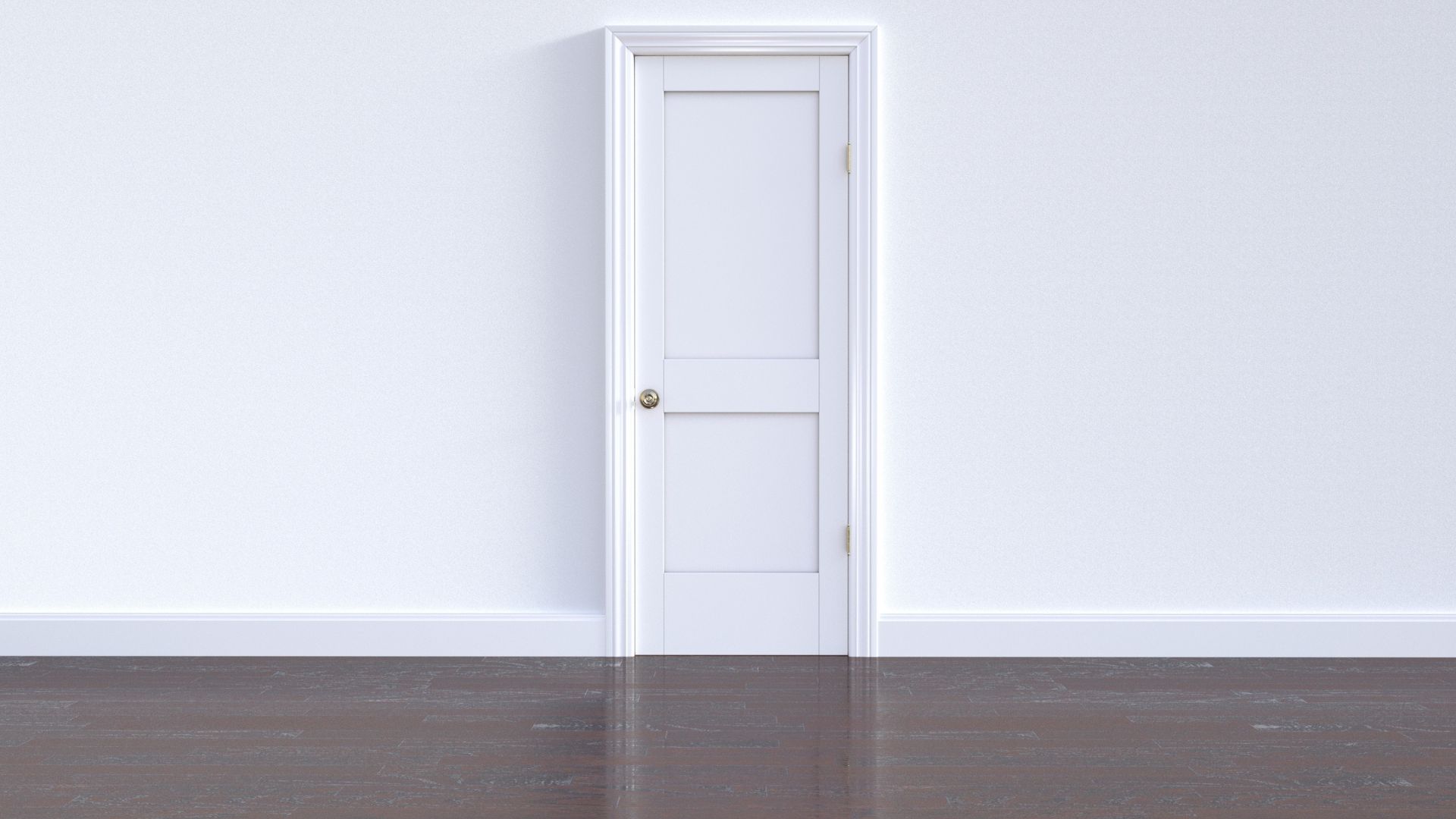 puerta antirrobo